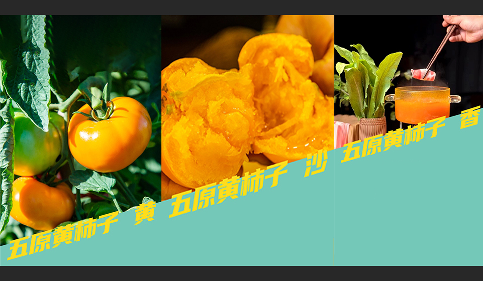 天賦河套 · 柿柿如意